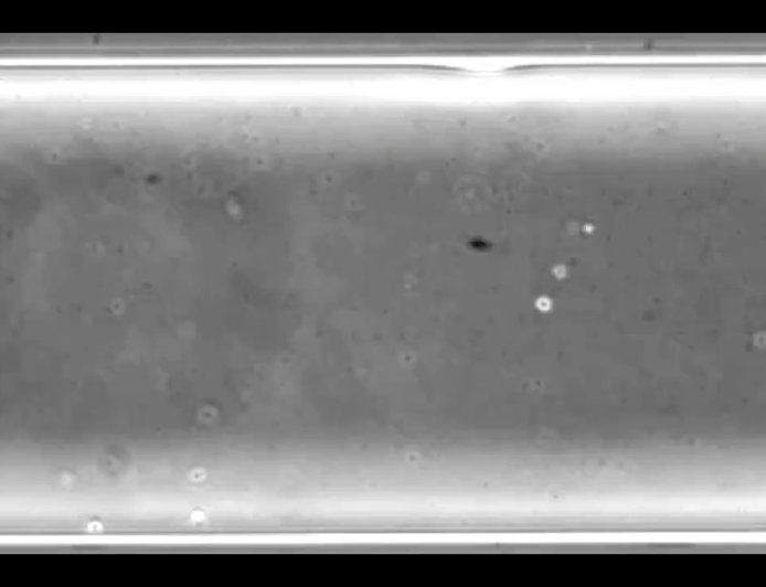 最先进的AI，正在解决最古老的不孕不育问题