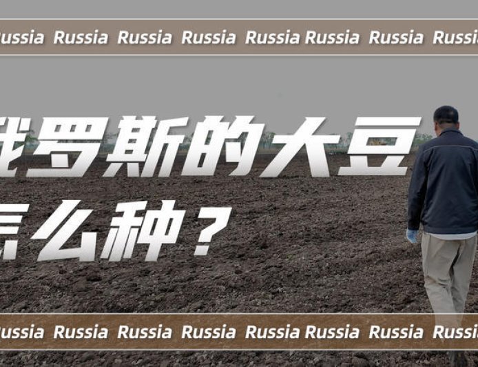 俄罗斯的大豆，到底是怎么种的？