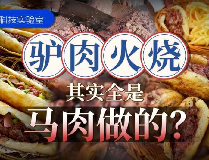 在北京吃了十年驴肉火烧,一口驴肉沫儿都没吃到过?