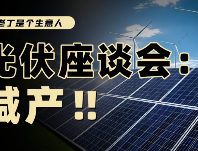 政策与市场的较量，光伏减产能救产业吗？