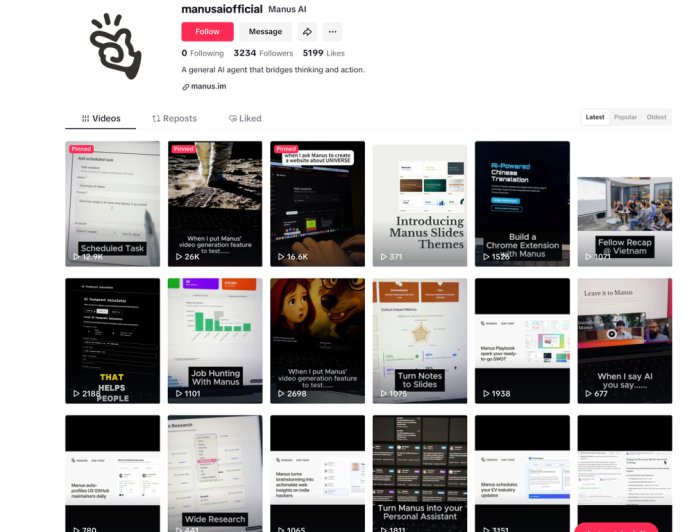 忘掉Manus的华人背景