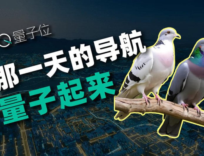 鸽子不迷路，靠的竟是量子力学？