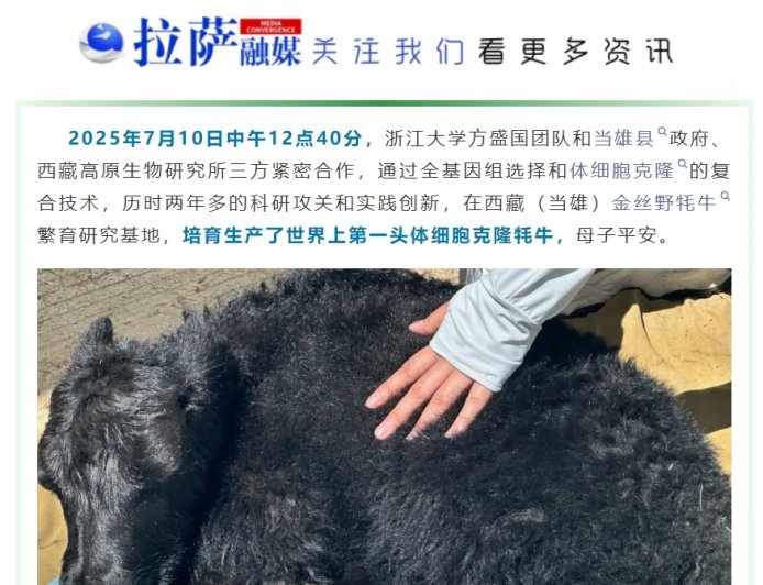 两个世界首例，体细胞克隆牦牛、犏牛在西藏诞生