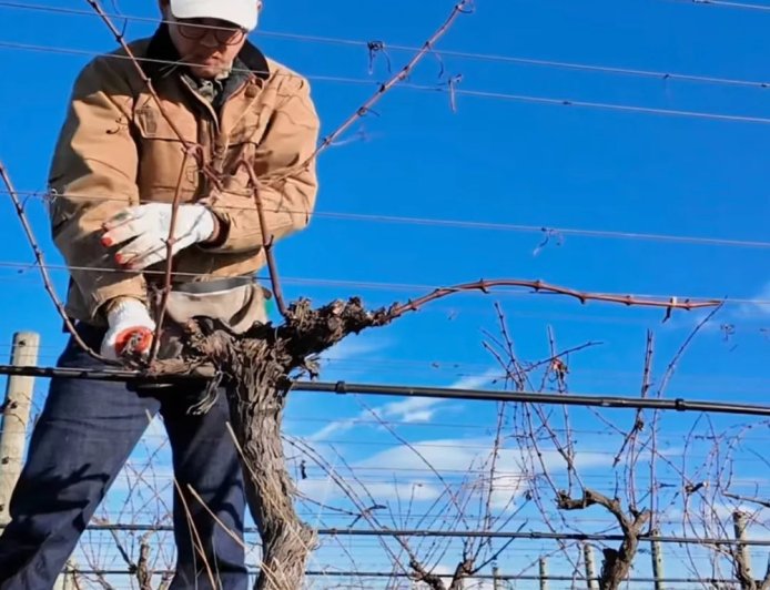 留学去新西兰干体力活，治好年轻人的工作内耗