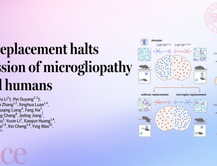 全球首次：复旦小胶质细胞替换治疗取得突破，成功阻断致命脑疾病进展