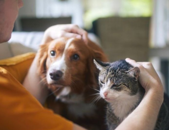 我们能利用人工智能与猫和狗对话吗？