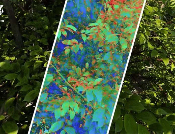 英特尔推出新工具：用 AI 给游戏画质打分