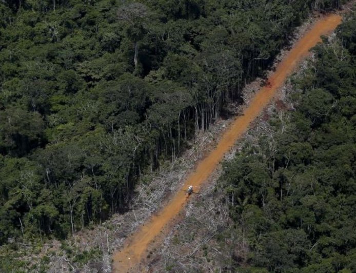 巴西通过有争议的环境法案 或将加剧森林砍伐