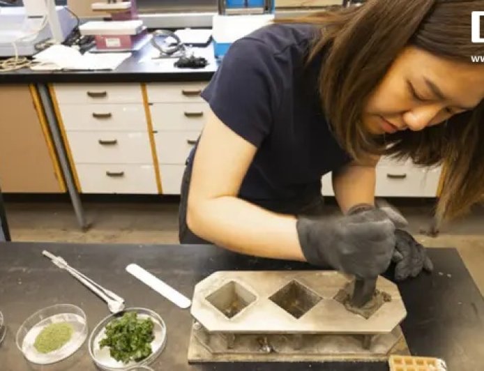 在水泥中加入海藻，美高校与微软联合研发出新型低碳混凝土