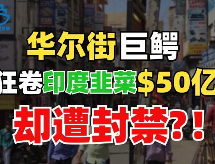 冻结资金、禁止入市，印度政府暴打华尔街巨头？