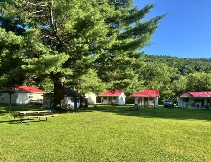 我们在美国一路向北，所见全是这家“穷鬼超市”