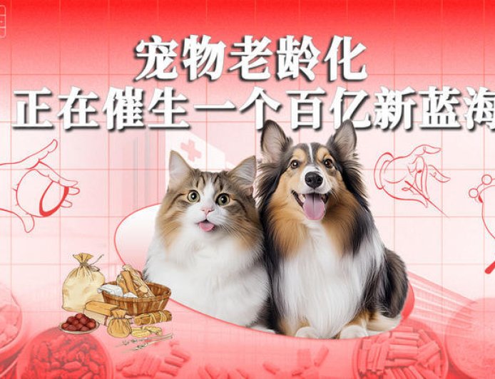 宠物老龄化，正在催生一个百亿新蓝海