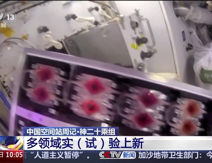 “太空快递”签收后航天员都在忙什么？中国空间站多领域新实验上线