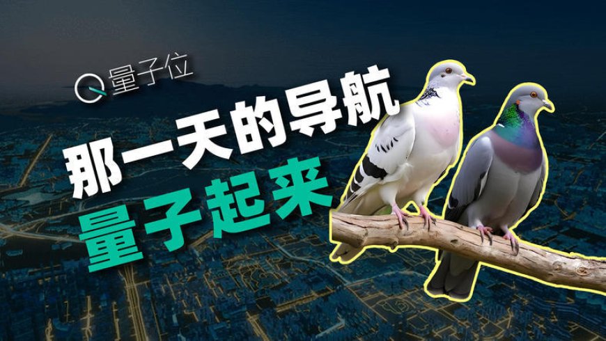 鸽子不迷路，靠的竟是量子力学？