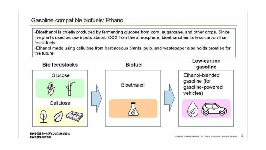 日产、马自达、丰田等日系车企探索生物燃料新路径:用草木、再生纸制造乙醇