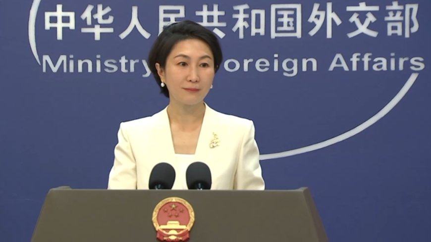 中国军舰在红海用激光瞄准德国飞机?外交部:不实