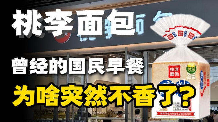 曾经的国民早餐,桃李面包为啥突然不香了?