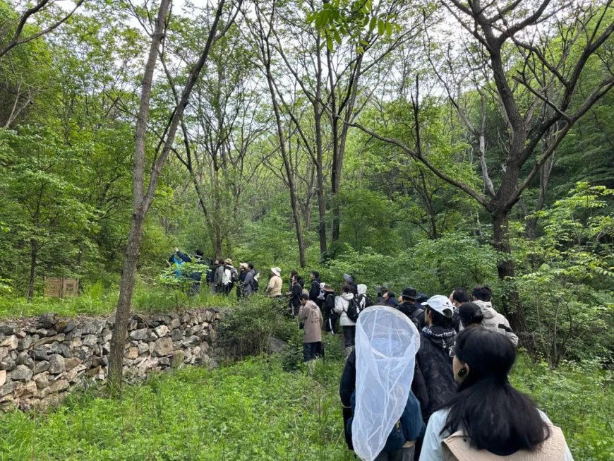敲敲键盘就能发论文,生态学家还有必要做野外研究吗?
