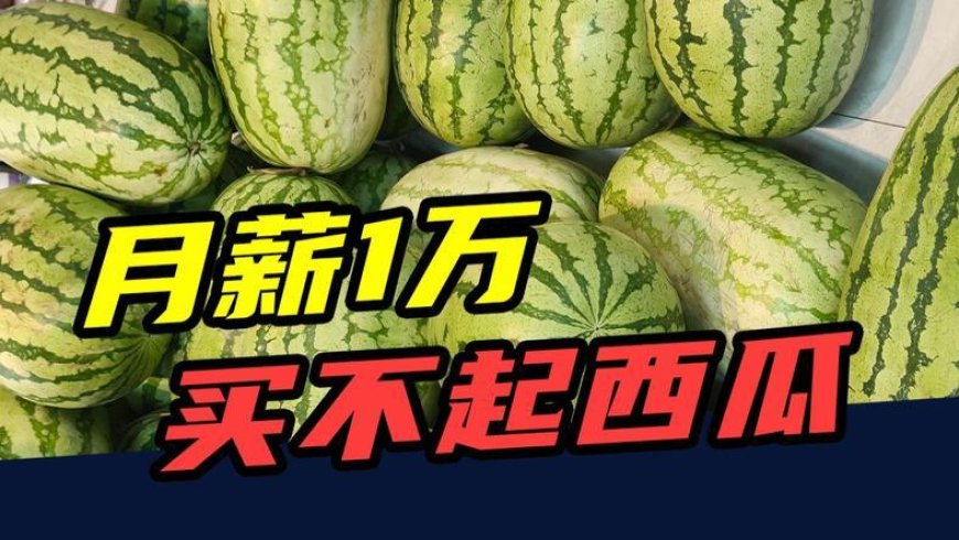 从5元一个到5元一斤,西瓜为什么越来越贵?