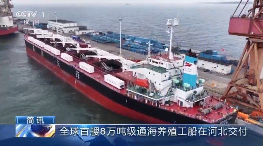 全球首艘 8 万吨级通海养殖工船“森海先锋”号在我国完成交付