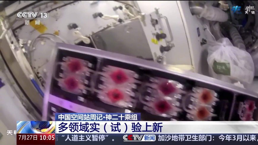 “太空快递”签收后航天员都在忙什么?中国空间站多领域新实验上线