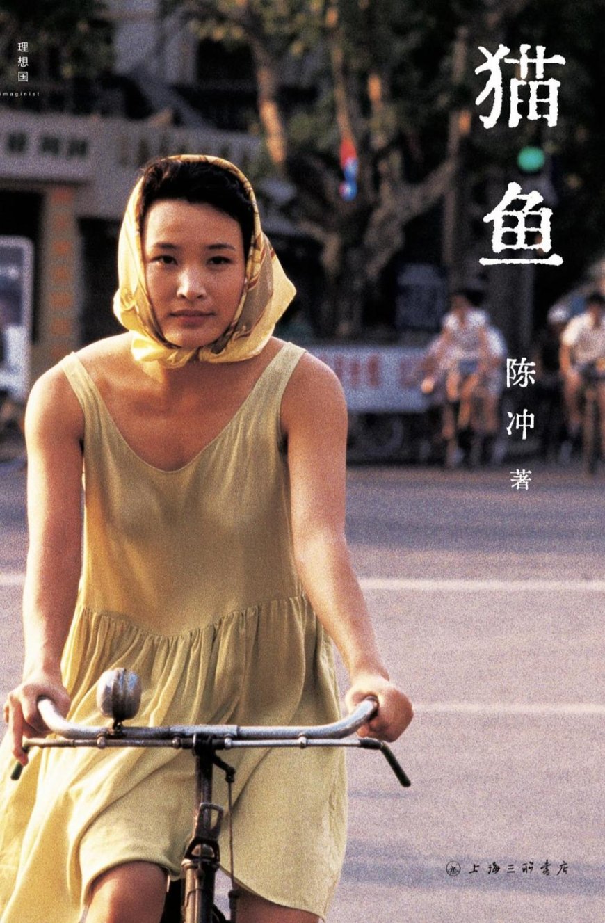 黄峪|她是被爱的:陈冲《猫鱼》中的记忆与疗愈