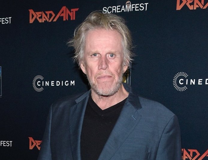 Gary Busey, 81, Pleads Guilty to Sex Crime at New Jersey Horror Convention