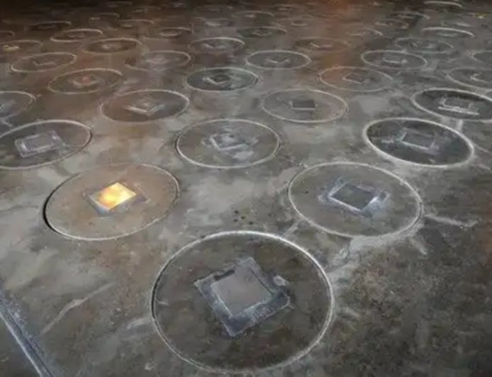 美核弹设施发现“放射性”蜂巢，辐射水平大幅超标