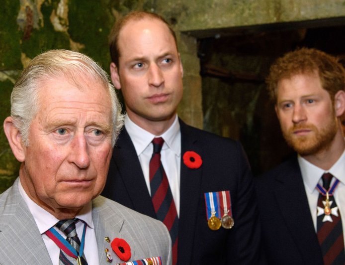 Prince Harry's Prince William Feud Is 'Different Beast' Than Rift With Dad