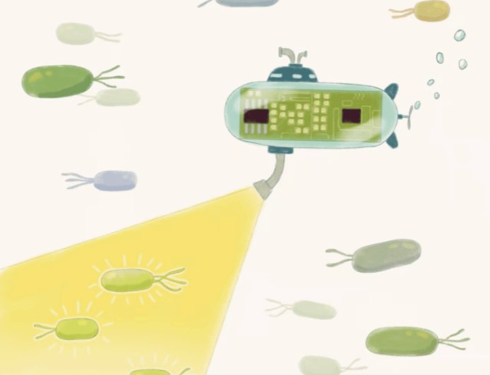 支持手机操控：中国科学家开发健康监测新技术，实现人类与肠道工程菌远程“对话”