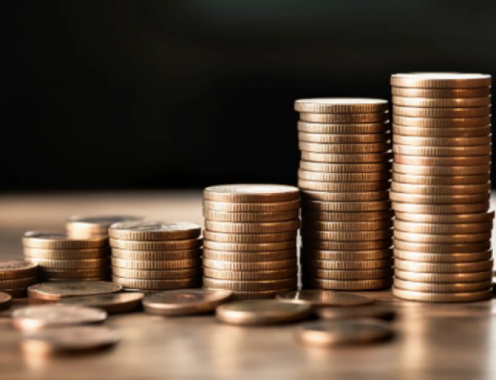 黑芝麻停牌，控股股东筹划公司控制权变更事项