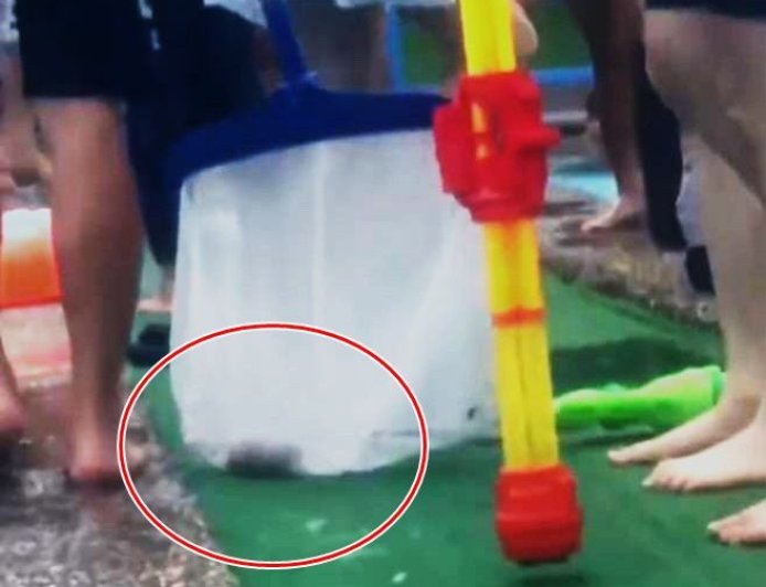 太噁！宜蘭童玩節戲水區驚現一坨糞便　緊急排水消毒