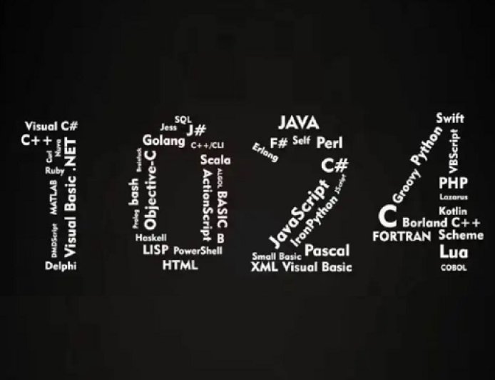 1024：程序员的“青春饭”还稳吗？