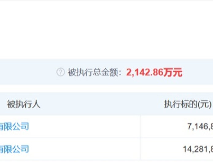 锤子科技新增 2 条被执行人信息,执行标的合计 2142 万余元
