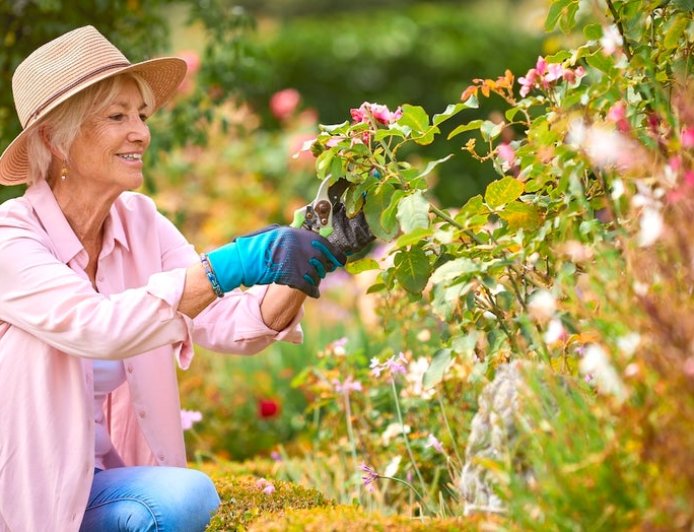 Getting ready to harvest your garden? Get these helpful tools