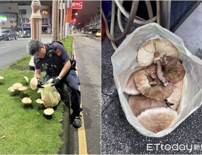 豪雨後奇景！「安全島拔香菇」基層警炸鍋　高雄市府說話了