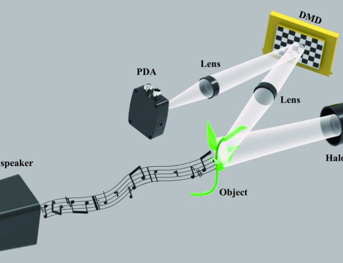 我国科学家研发视觉麦克风：可“看”到贝多芬《致爱丽丝》声音片段