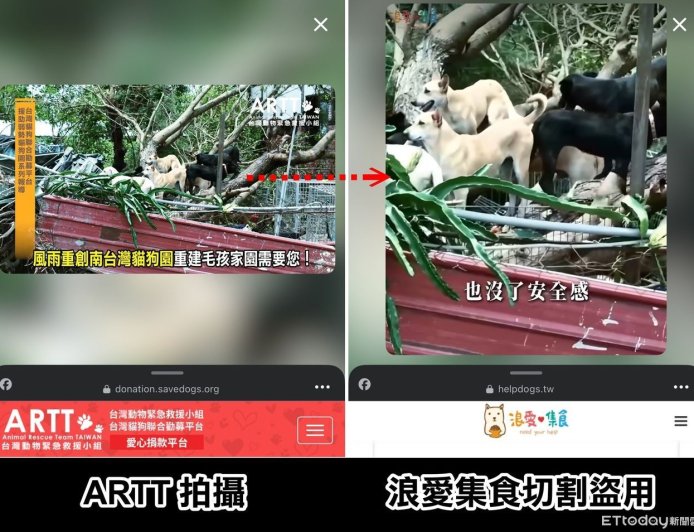 假公益！動保團體控盜用影片引網友同情　飼料網購平台回應了