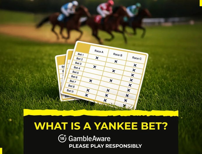 What is a Yankee bet?