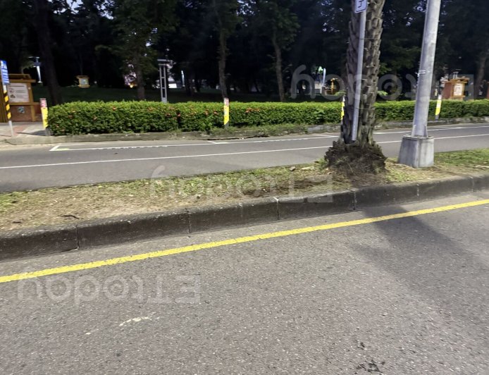 獨／高雄凌晨死亡車禍　騎士詭異自摔不治