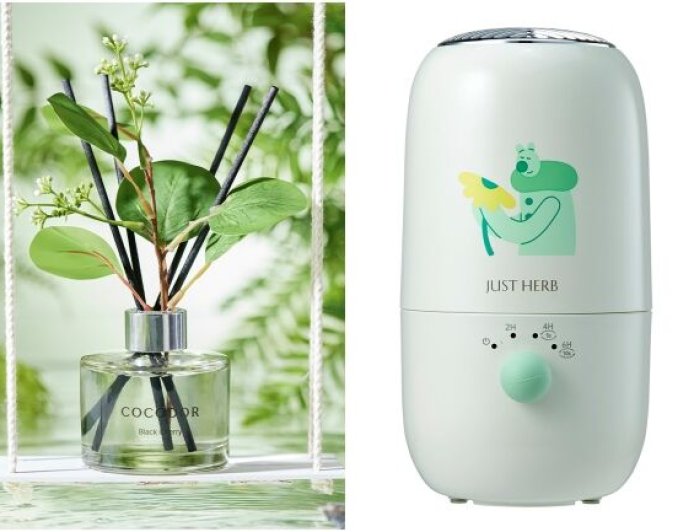 COCODOR森林擴香瓶綠葉美翻　香草集「無線水氧機」攜帶好方便