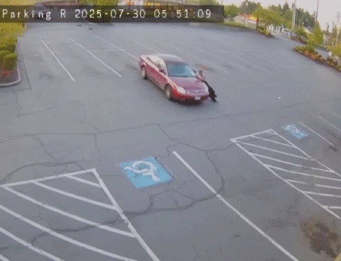 DIY tow job goes horribly wrong as runaway car hits same Washington restaurant multiple times