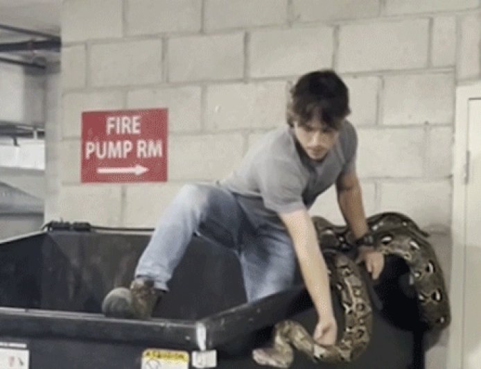 Reptile hunter climbs into apartment building dumpster to remove 16-foot python in Los Angeles