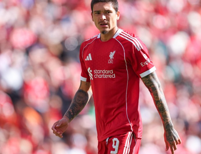 Darwin Nunez makes instant impact with debut goal for his new club