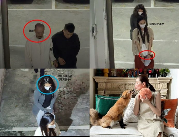 快訊/假公益吸金上億!通緝兄攜名模妹養狐狸、買豪宅被起訴