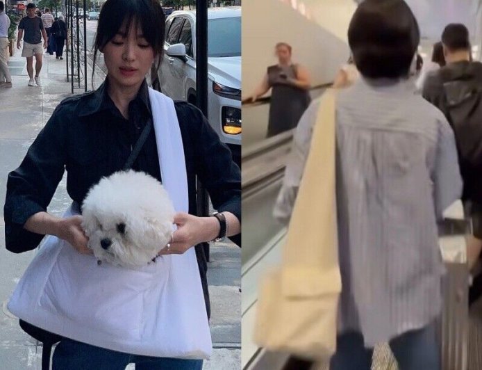 宋慧喬登機包詢問度暴增！簡約三角大包時髦又能裝　同場加映平價類似款