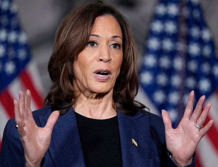 Kamala Harris' major California announcement triggers circular Dem firing squad