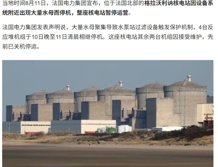 法国最大核电站因水母入侵导致暂停运营