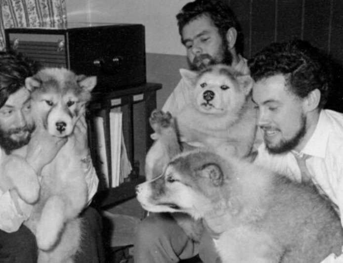 Body of Antarctic explorer found after 66 years after his disappearance