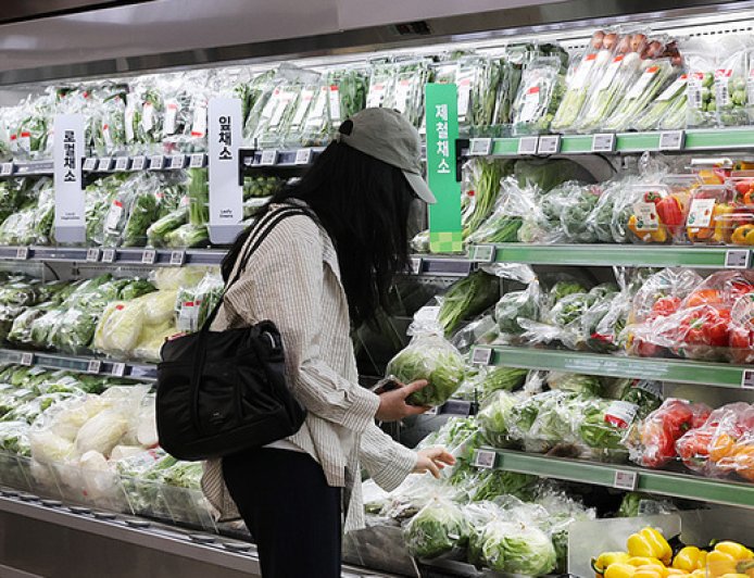 “金菜”危机再次爆发，韩国大白菜价格暴涨超四成